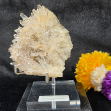 Load image into Gallery viewer, Clear Quartz with Blue Needle Cluster Display (Santander Mine, Colombia) – 哥伦比亚 Santander 蓝针水晶天然石英簇矿物摆件
