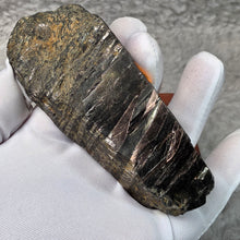 Load image into Gallery viewer, Hypersthene Raw Display Specimen (Natural)
