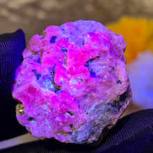 Load image into Gallery viewer, Raw Ruby with Kyanite Specimen Display – 红宝石共生蓝晶石原矿摆件
