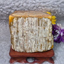 Load image into Gallery viewer, Petrified Wood Display (Madagascar) – 马达加斯加木化石摆件
