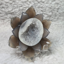 Load image into Gallery viewer, Agate Lotus Flower Carving – Purity &amp; Calm Display
