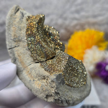 Load image into Gallery viewer, Rainbow Pyrite Specimen Display (Russia) – 俄罗斯彩虹黄铁矿标本摆件
