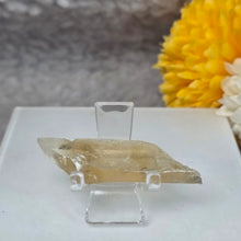 Load image into Gallery viewer, Golden Selenite Specimen Display (Turkey) – 土耳其金色透石膏标本摆件
