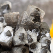 Load image into Gallery viewer, Columnar Calcite Specimen (Fujian, China) – 中国福建柱状方解石矿标
