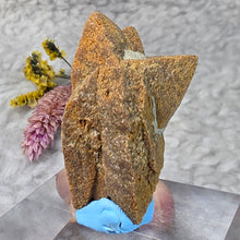 Load image into Gallery viewer, Glendonite – Earth Wisdom &amp; Grounded Transformation Stone
