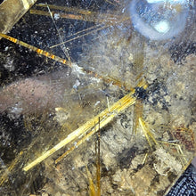 Load image into Gallery viewer, Golden Rutiles in Quartz Display – Manifestation &amp; Abundance Energy
