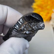 Load image into Gallery viewer, Botryoidal Hematite Specimen Display (Morocco) – 摩洛哥葡萄状赤铁矿标本摆件
