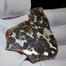 Load image into Gallery viewer, Pallasite Meteorite Slab Display – 橄榄陨石切片摆件
