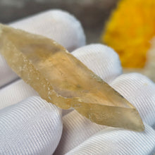 Load image into Gallery viewer, Golden Selenite Specimen Display (Turkey) – 土耳其金色透石膏标本摆件
