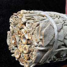 Load image into Gallery viewer, White Sage – 白鼠尾草
