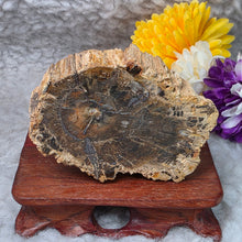 Load image into Gallery viewer, Petrified Wood Display (Madagascar) – 马达加斯加木化石摆件

