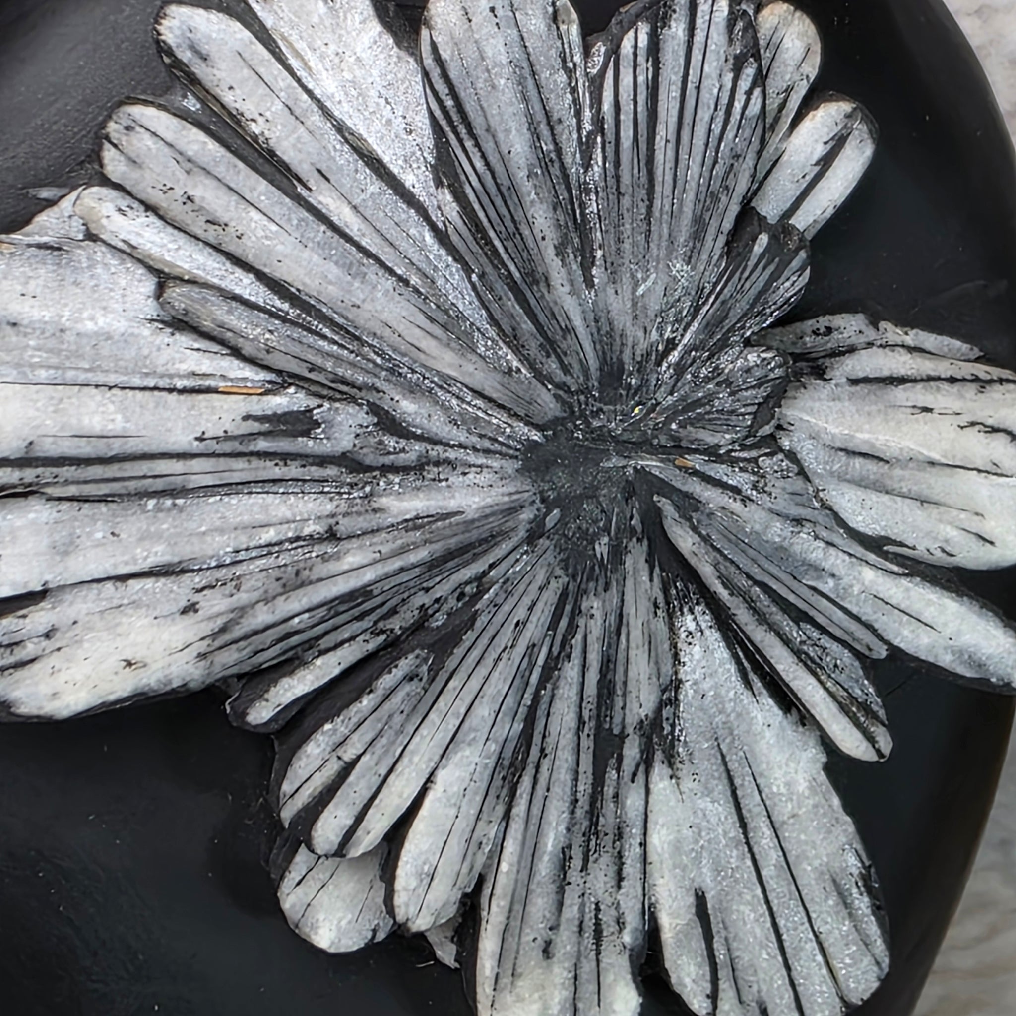 Chrysanthemum Stone Display – 菊花石天然摆件 – Living Gems SG