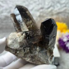 Load image into Gallery viewer, Smoky Quartz Cluster (Brazil) – 巴西烟晶簇
