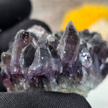 Load image into Gallery viewer, Amethyst Cluster Specimen (Bulgaria) – 保加利亚紫水晶簇矿标
