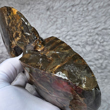 Load image into Gallery viewer, Ammonite Fossil (Canada) – Abundance, Protection &amp; Energy Flow
