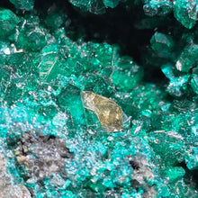 Load image into Gallery viewer, Dioptase with Malachite, Shattuckite &amp; Chrysocolla Specimen (Congo) – 刚果翠铜矿共生孔雀石、蓝铜矿与蓝铜矿石矿标
