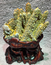 Load image into Gallery viewer, Quartz with Iron Oxide &amp; Actinolite (Inner Mongolia) – Strength, Growth &amp; Earth Energy
