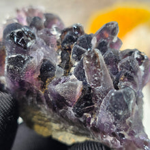 Load image into Gallery viewer, Amethyst Cluster Specimen (Bulgaria) – 保加利亚紫水晶簇矿标
