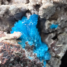 Load image into Gallery viewer, Cavansite – Rare Electric Blue Crystal of Inspiration &amp; Higher Awareness
