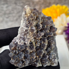 Load image into Gallery viewer, Amethyst Cluster Specimen (Bulgaria) – 保加利亚紫水晶簇矿标
