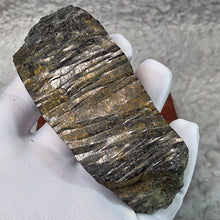 Load image into Gallery viewer, Hypersthene Raw Display Specimen (Natural)
