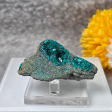 Load image into Gallery viewer, Dioptase Specimen (Congo) – 刚果翠铜矿矿标
