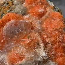 Load image into Gallery viewer, Thomsonite with Mesolite Specimen (India) – 印度托姆森石伴中沸石矿物标本
