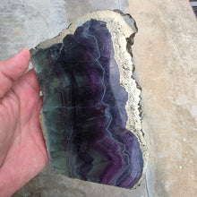 Load image into Gallery viewer, Fluorite with Pyrite Slab Display – Mental Clarity, Wealth Activation &amp; Protection
