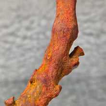 Load image into Gallery viewer, Raw Red Coral – Vitality, Protection &amp; Emotional Strength
