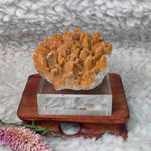 Load image into Gallery viewer, Clear Dogtooth Calcite with Brown Calcite (Secondary Growth) Specimen – 透明犬牙方解石伴褐色次生方解石标本
