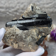Load image into Gallery viewer, Raw Black Tourmaline in Quartz Specimen Display – 黑碧玺共生石英原矿摆件
