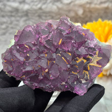 Load image into Gallery viewer, Purple &amp; Green Bi-Tone Fluorite Display – 紫绿双色萤石摆件
