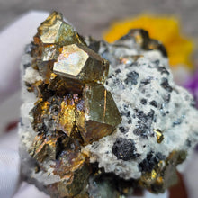 Load image into Gallery viewer, Chalcopyrite, Sphalerite &amp; Quartz Specimen – 黄铜矿闪锌矿共生石英矿物标本
