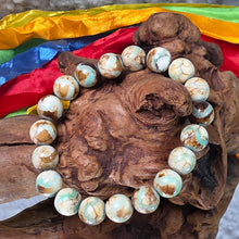 Load image into Gallery viewer, Tibetan Tiger Tooth Green Dzi Bead Bracelet – 西藏虎牙绿天珠手链
