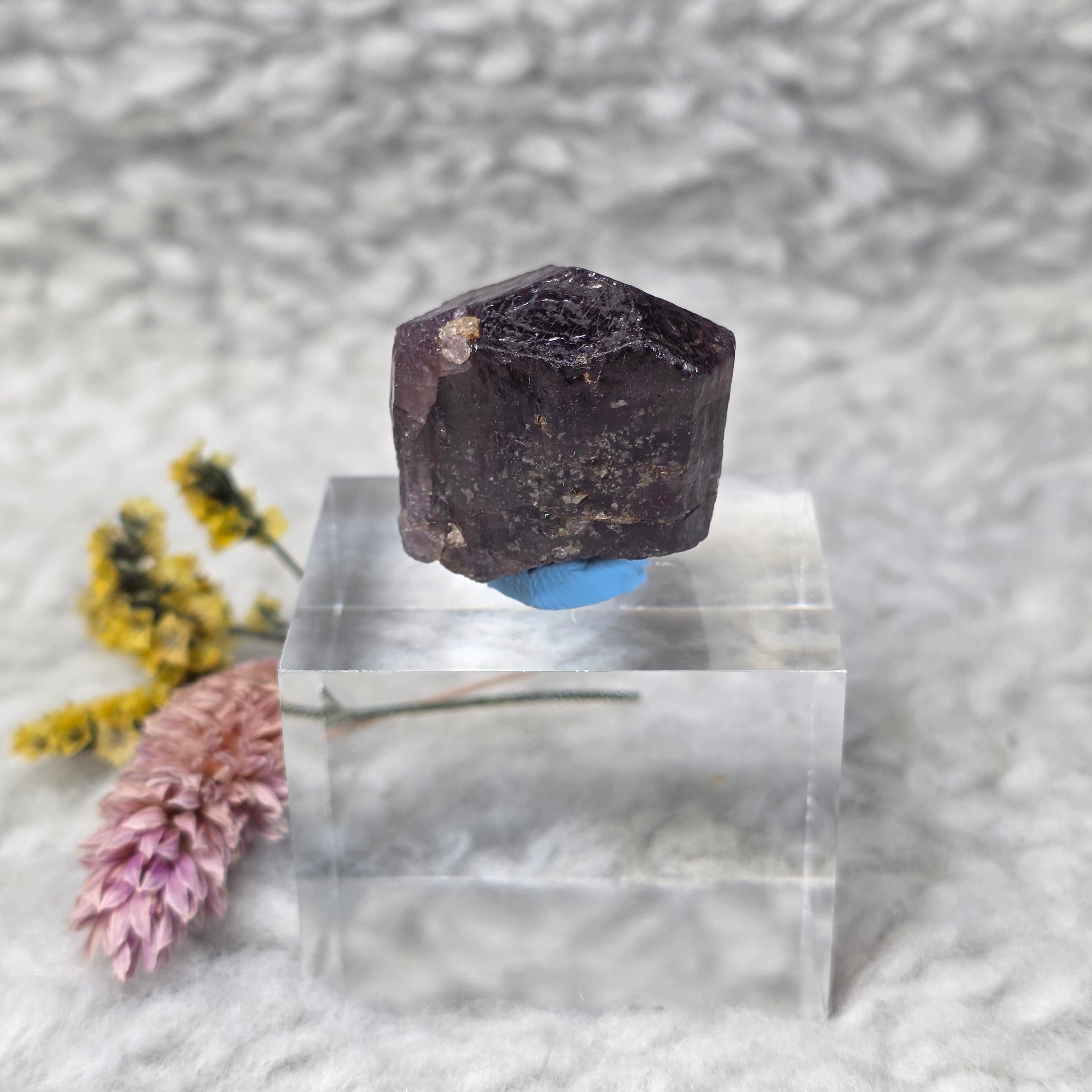 Raw Purple Scapolite – Insight, Focus & Personal Growth Stone – Living ...
