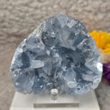 Load image into Gallery viewer, Top-Grade Celestite Specimen Display (Madagascar) – 顶级马达加斯加天青石标本摆件
