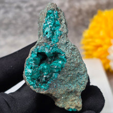 Load image into Gallery viewer, Dioptase Specimen (Congo) – 刚果翠铜矿矿标
