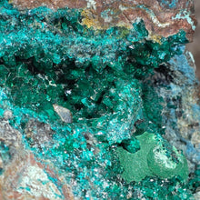 Load image into Gallery viewer, Dioptase with Malachite, Shattuckite &amp; Chrysocolla Specimen (Congo) – 刚果翠铜矿共生孔雀石、蓝铜矿与蓝铜矿石矿标
