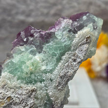 Load image into Gallery viewer, Purple &amp; Green Bi-Tone Fluorite Display – 紫绿双色萤石摆件
