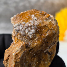 Load image into Gallery viewer, Chrome Chalcedony (Turkey) – 土耳其铬绿玉髓
