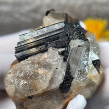 Load image into Gallery viewer, Raw Black Tourmaline in Quartz Specimen Display – 黑碧玺共生石英原矿摆件
