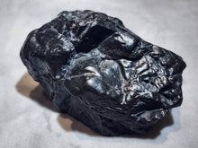 Load image into Gallery viewer, Thunder Strike Petrified Wood – A Rare Fusion of Earth &amp; Lightning!
