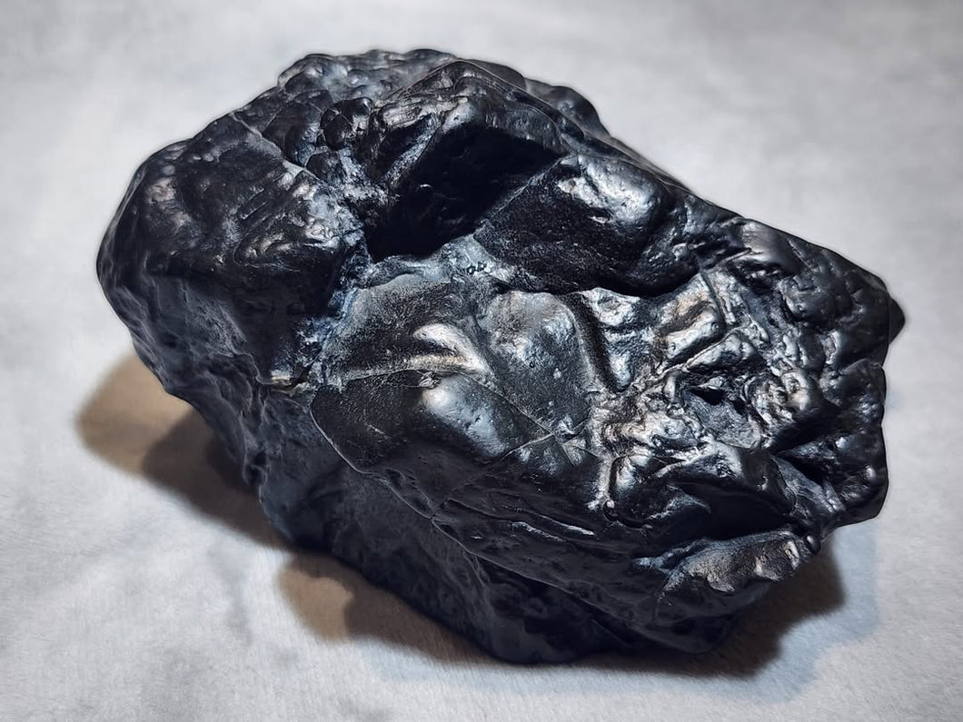 Thunder Strike Petrified Wood – A Rare Fusion of Earth & Lightning!