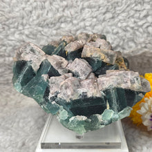 Load image into Gallery viewer, Natural Cube Fluorite on Green Fluorite Display (Hunan, China) – 中国湖南天然立方萤石共生绿色萤石摆件
