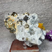 Load image into Gallery viewer, Chalcopyrite, Sphalerite &amp; Quartz Specimen – 黄铜矿闪锌矿共生石英矿物标本
