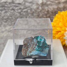 Load image into Gallery viewer, Dioptase with Chrysocolla Specimen (Congo) – 刚果翠铜矿共生蓝铜矿矿标
