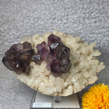 Load image into Gallery viewer, Amethyst on Quartz with Enhydro Cluster Display (Mogok, Myanmar) – 缅甸抹谷天然紫水晶共生石英水胆水晶簇矿物摆件
