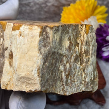 Load image into Gallery viewer, Petrified Wood Display (Madagascar) – 马达加斯加木化石摆件
