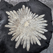 Load image into Gallery viewer, Chrysanthemum Stone Display – 菊花石天然摆件
