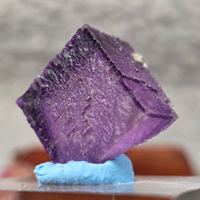 Load image into Gallery viewer, Purple Fluorite Specimen (Tennessee) – Clarity, Focus &amp; Collector Mineral
